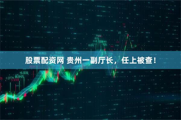 股票配资网 贵州一副厅长，任上被查！