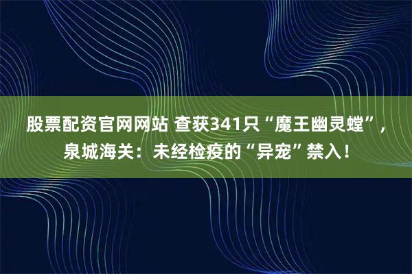 股票配资官网网站 查获341只“魔王幽灵螳”，泉城海关：未经检疫的“异宠”禁入！