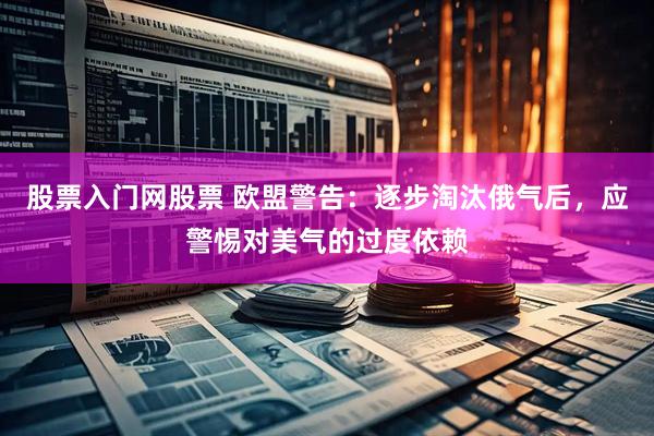 股票入门网股票 欧盟警告：逐步淘汰俄气后，应警惕对美气的过度依赖