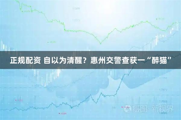 正规配资 自以为清醒？惠州交警查获一“醉猫”