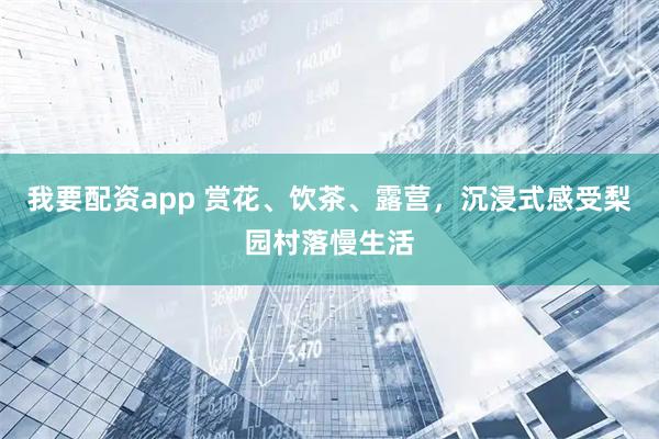 我要配资app 赏花、饮茶、露营,沉浸式感受梨园村落慢生活