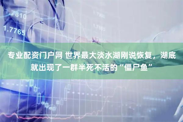 专业配资门户网 世界最大淡水湖刚说恢复，湖底就出现了一群半死不活的“僵尸鱼”